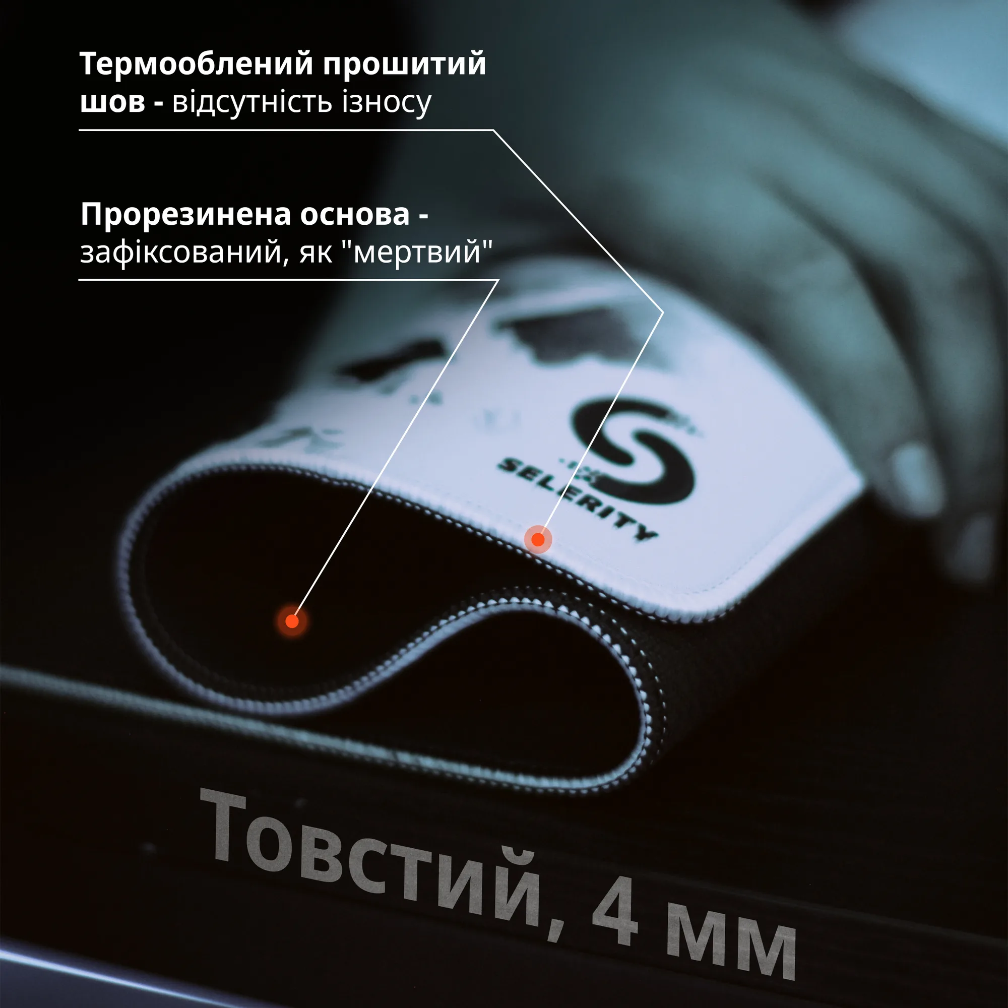 Ворони 900×400 — 3