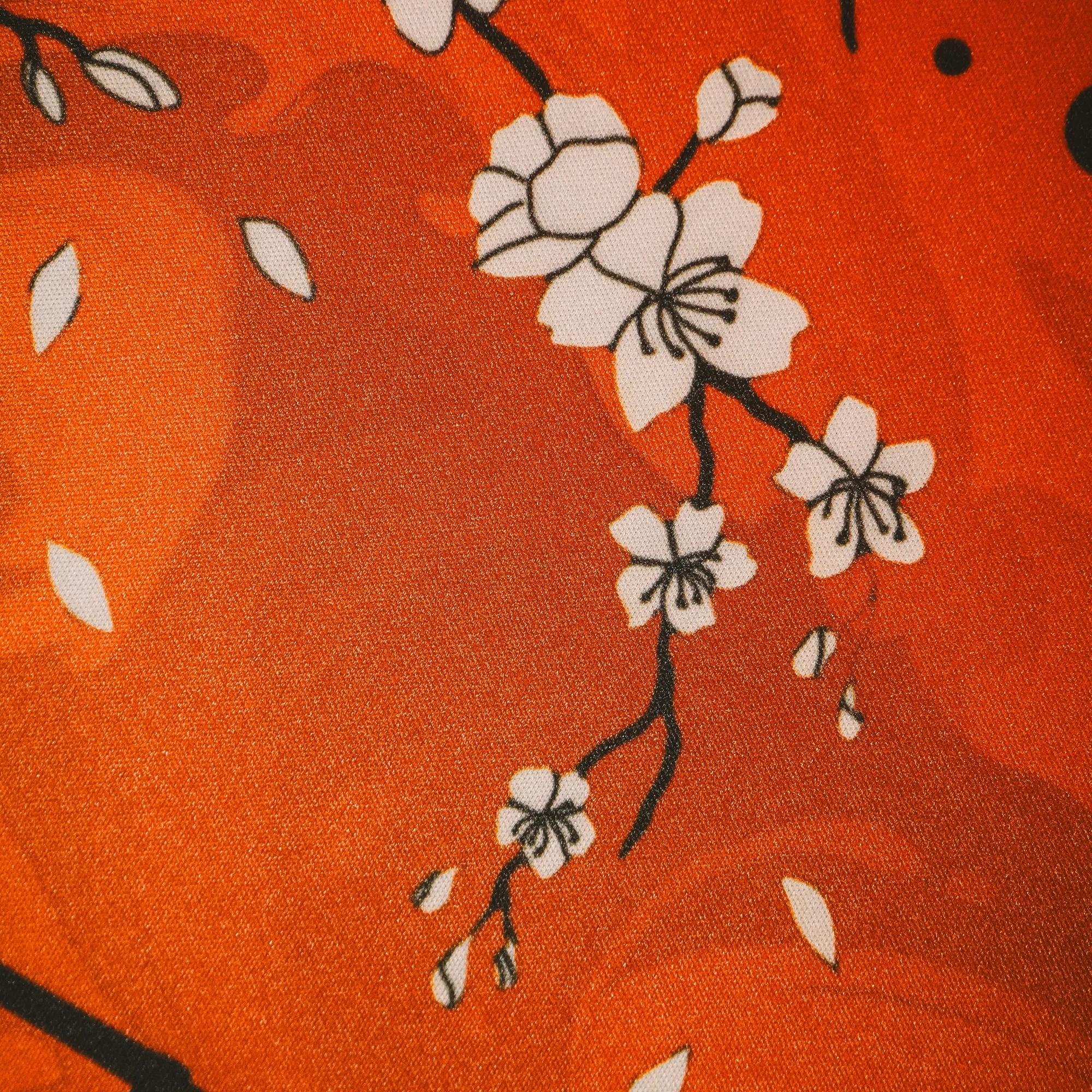 Tora 490×420 — 10